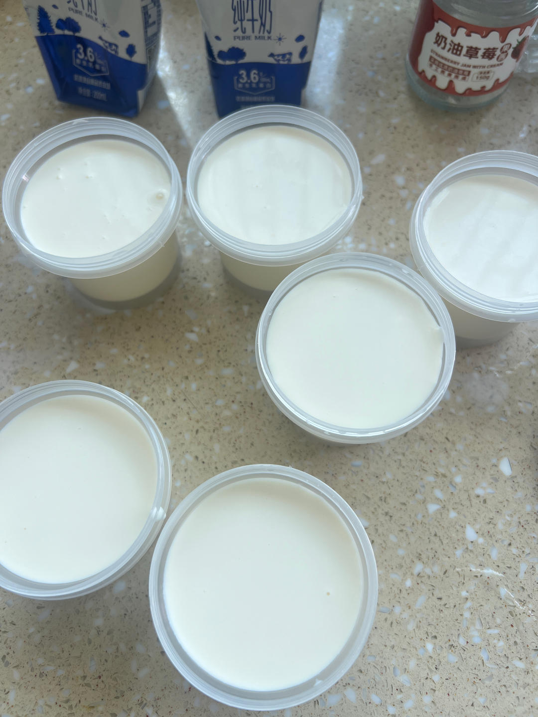 自制奶皮子酸奶/纯酸奶（超简单）