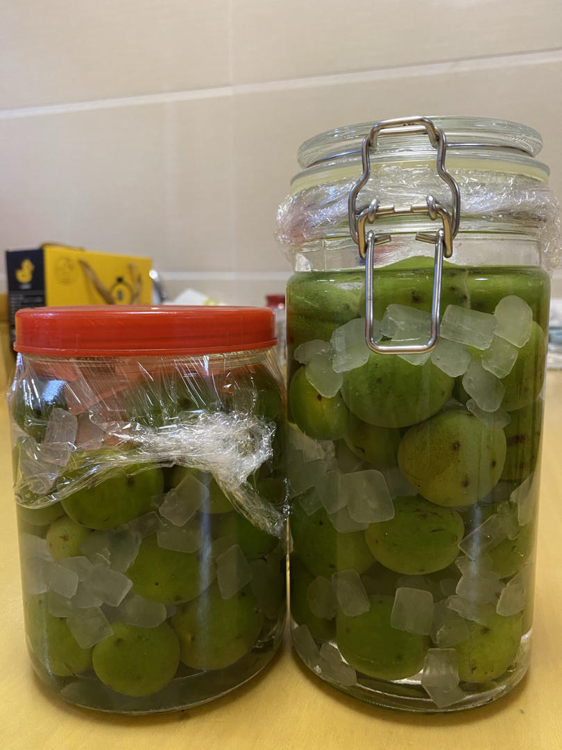 【青梅酒】梅子的沉醉时光（已填坑）