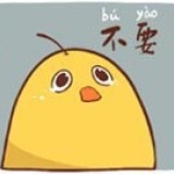 小蛋蛋