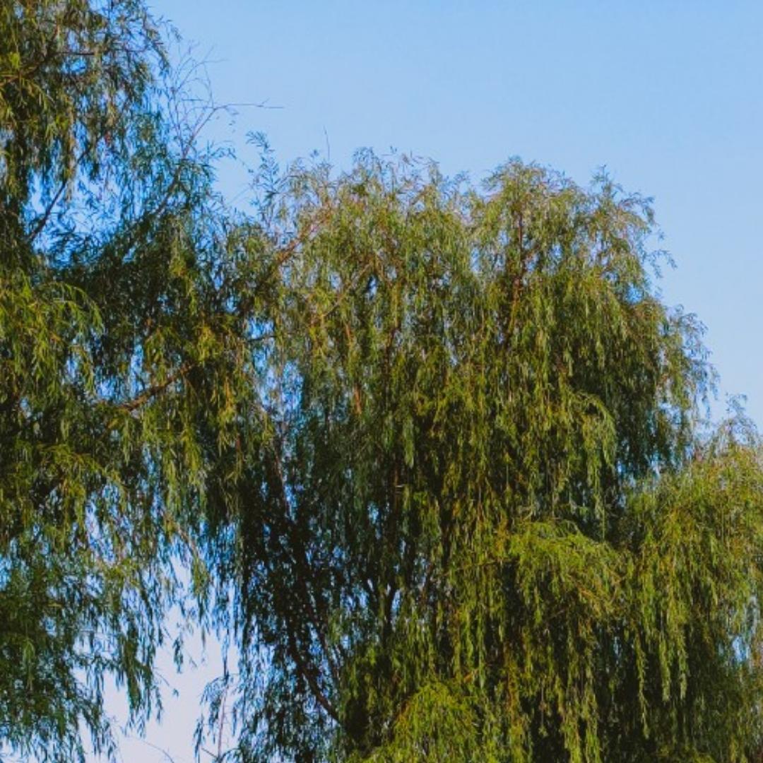 加油你是最榜的