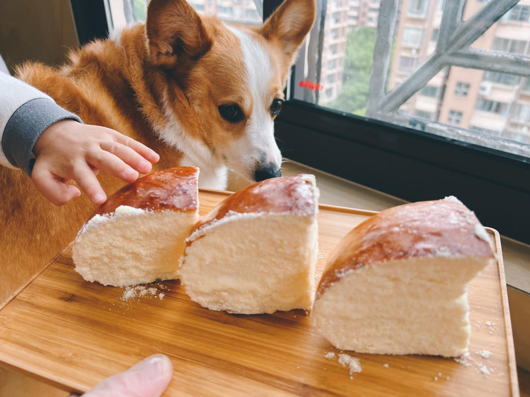 网络最火爆的——奶酪面包