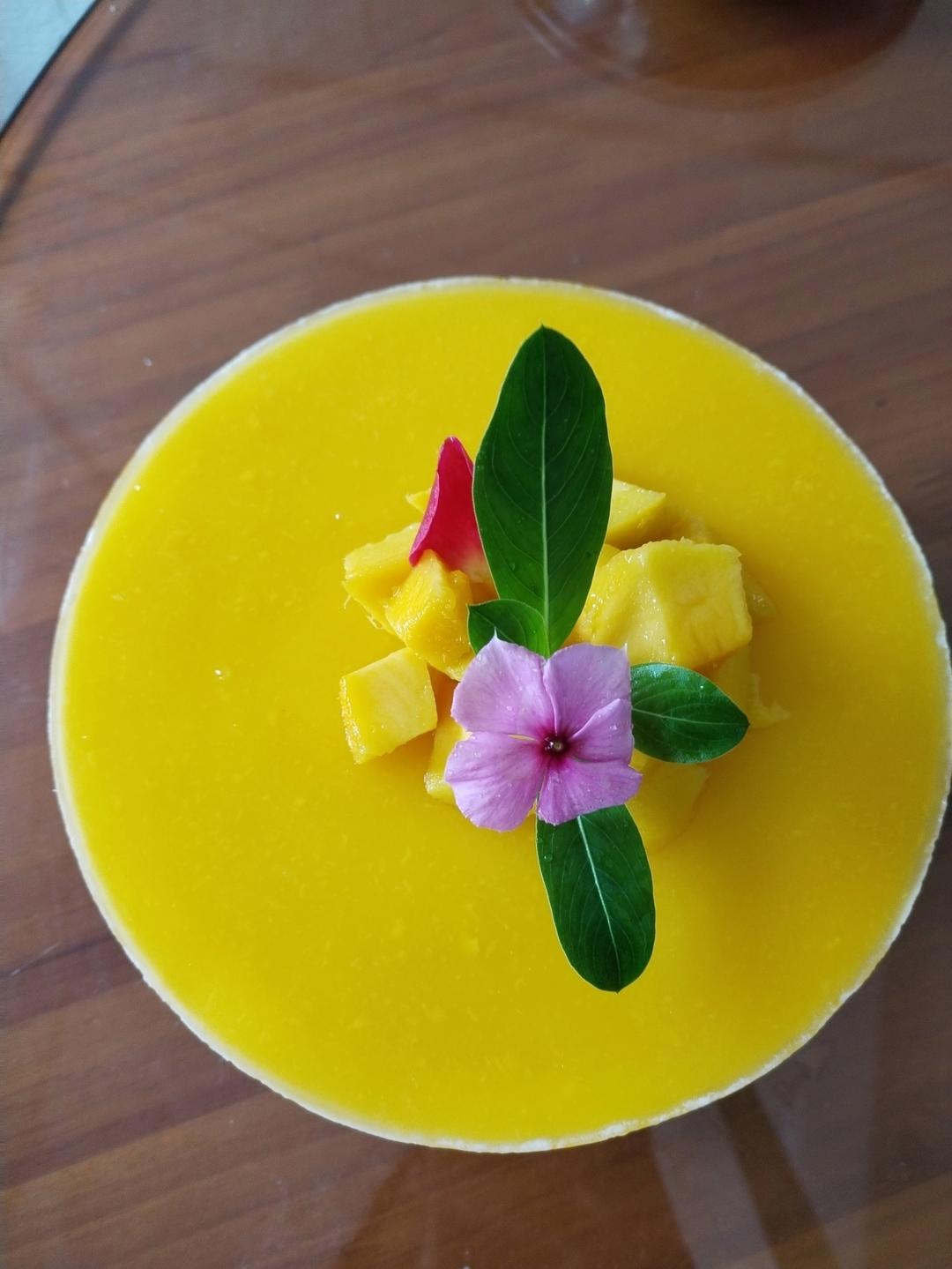 芒果慕斯蛋糕6寸8寸（新手也能一次成功）