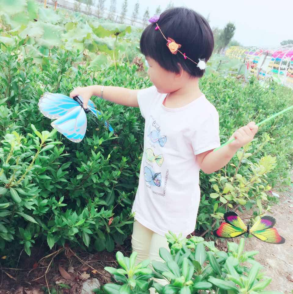 宁夏baby2