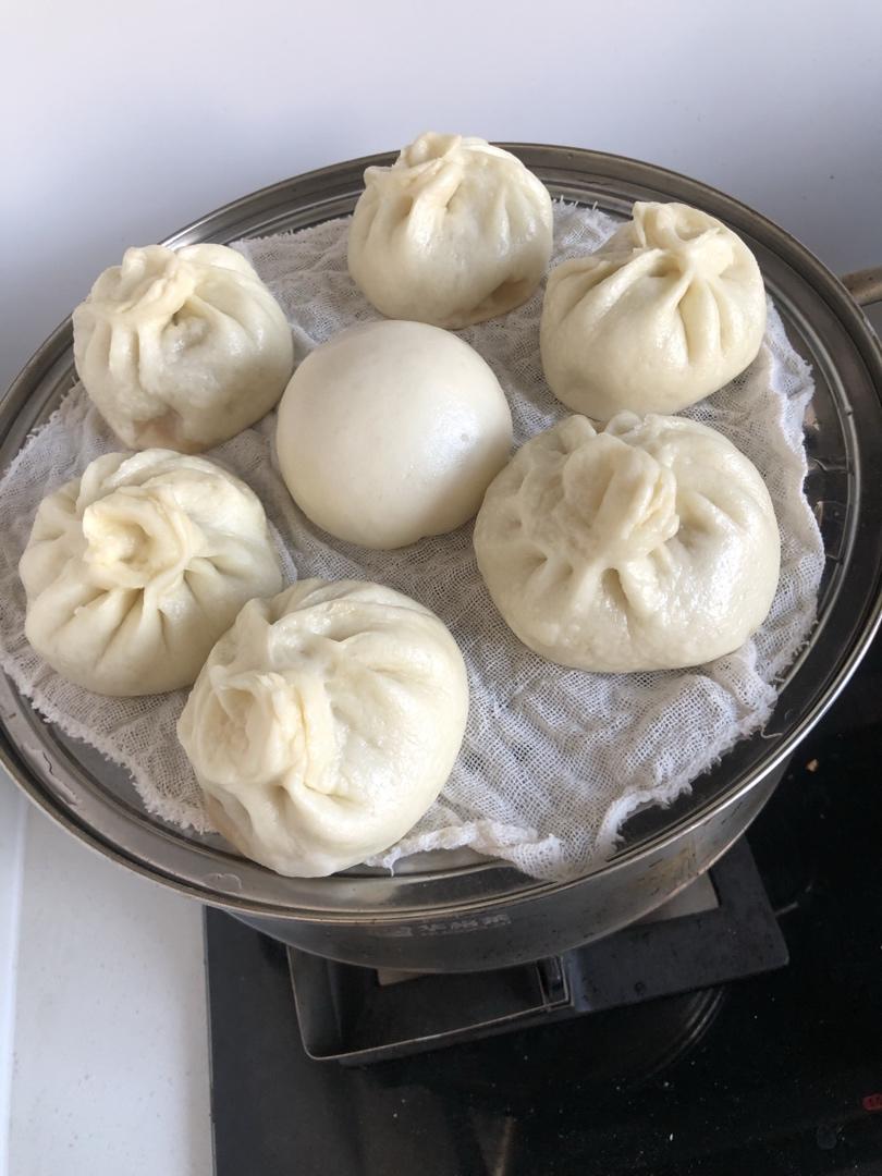 猪肉酸菜馅包子