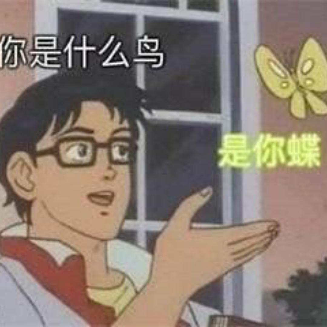 减肥第1005次失败后