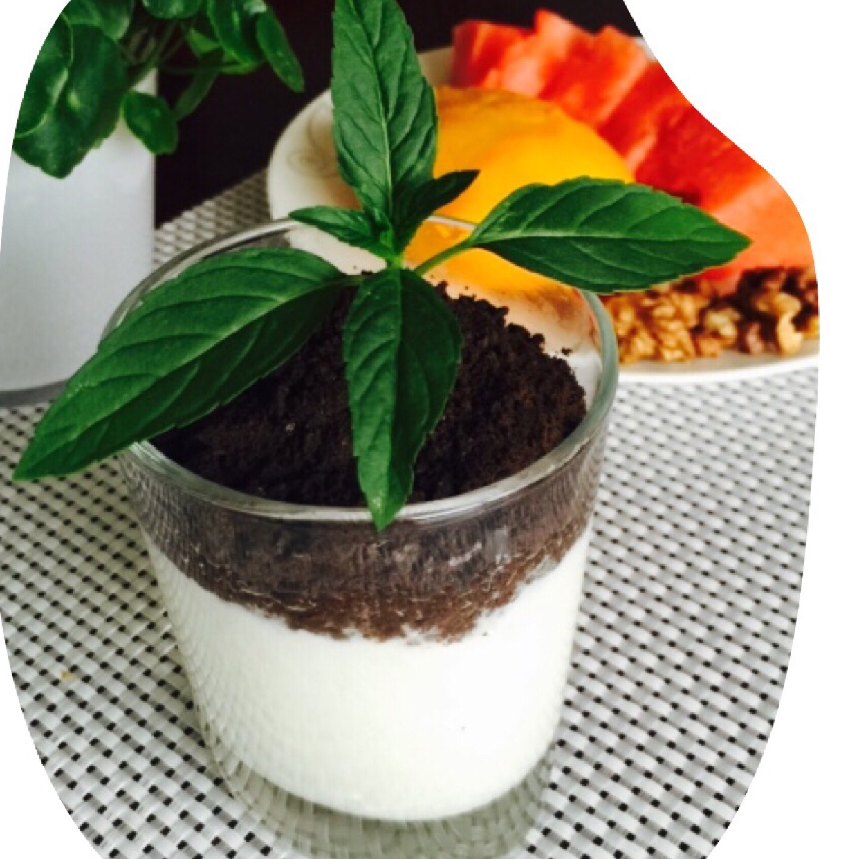 『盆栽酸奶』夏日里的小清新。