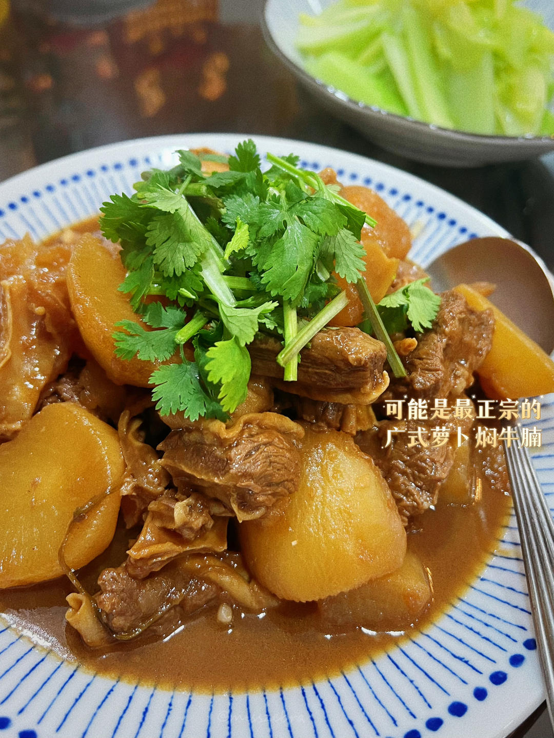 绝对正宗的粤式萝卜牛腩