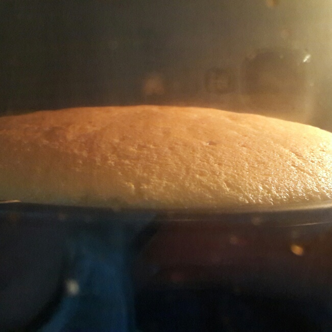 超软的~酸奶蛋糕