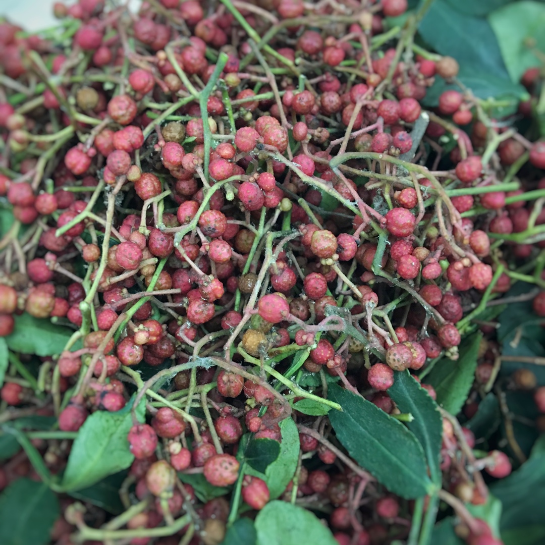 花椒油