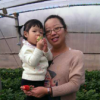 芳辰妈妈