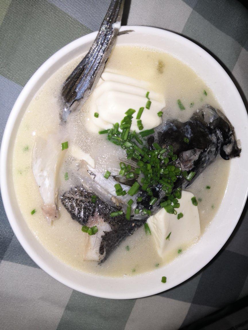 旧巷子里的猫咪做的鱼头豆腐汤