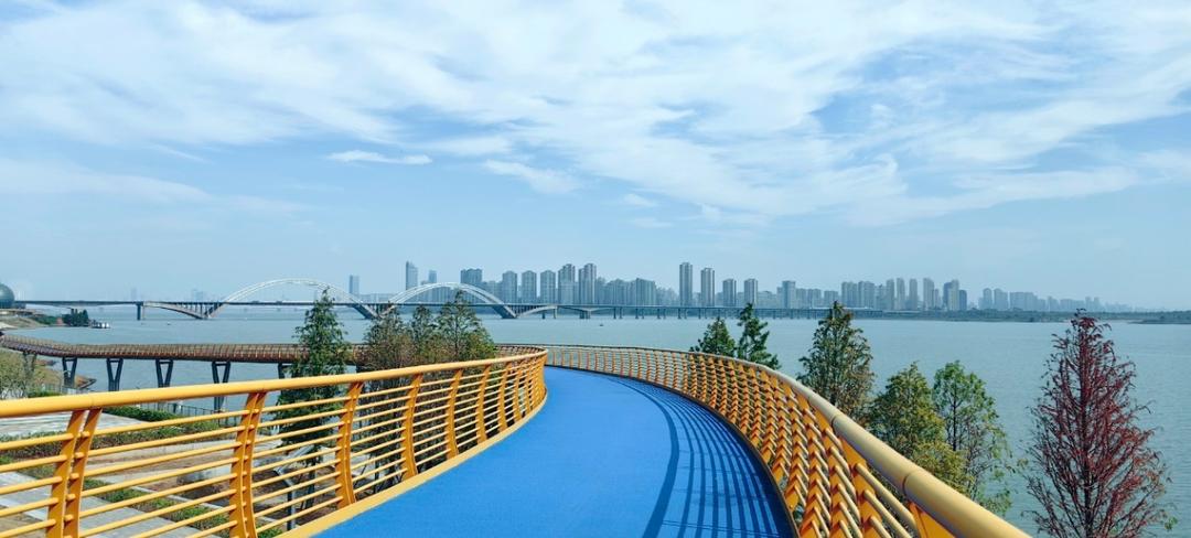 厨房小白的日记