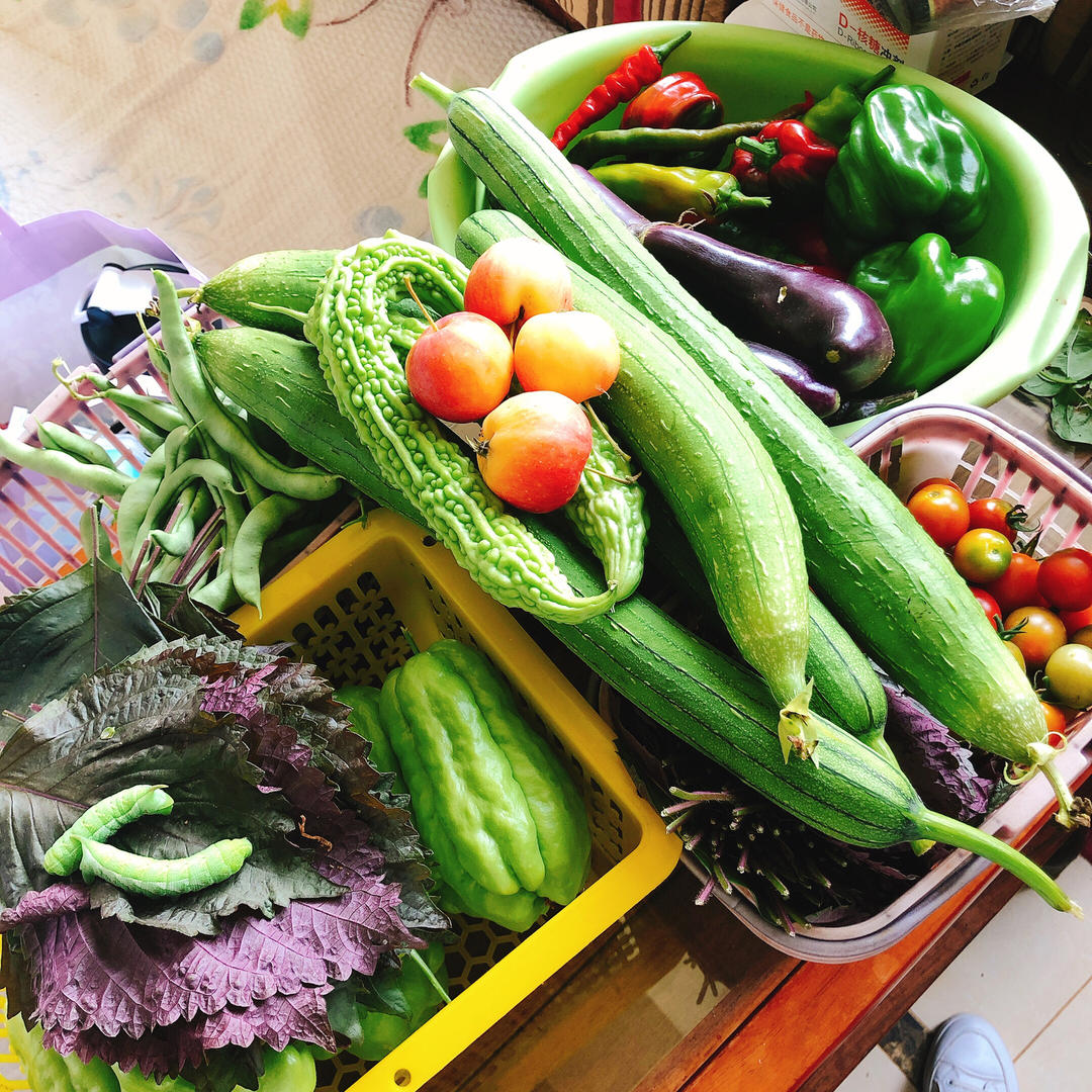 午餐•2021年8月29日