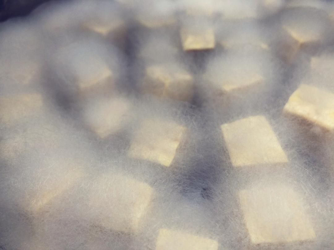 🦊毛豆腐🦊家庭自制极简版👼🏻