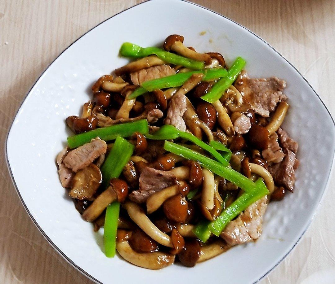 肉炒小白菜滑子蘑的全部作品