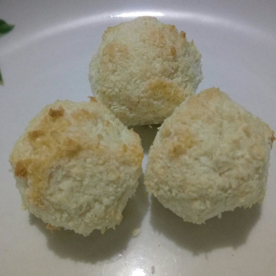 蛋白椰丝球