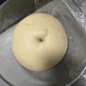 超柔软的奶香椰蓉小面包（波兰种），附椰蓉做法，简单易操作的做法 步骤5