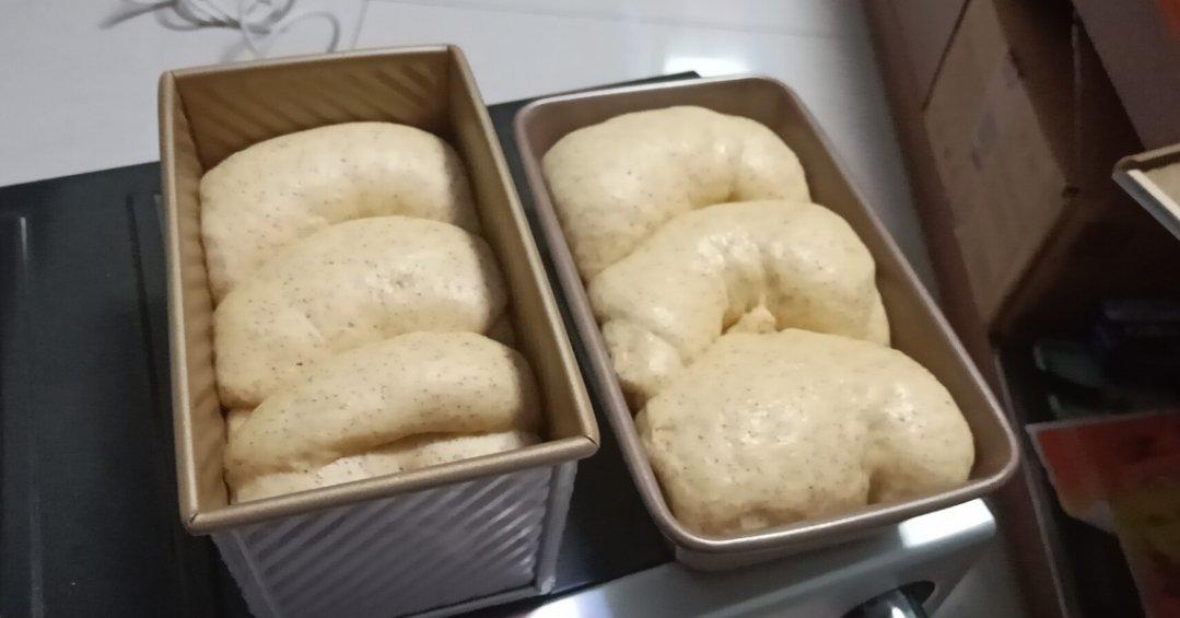 一次发酵酸奶黑麦吐司（450克吐司模）