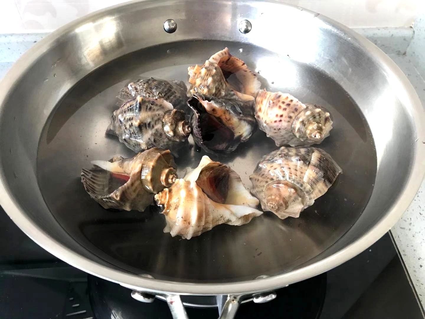 木耳菜拌海螺的做法 步骤2