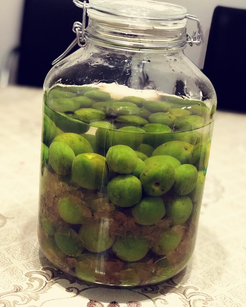 自酿超好喝的青梅酒/梅子酒