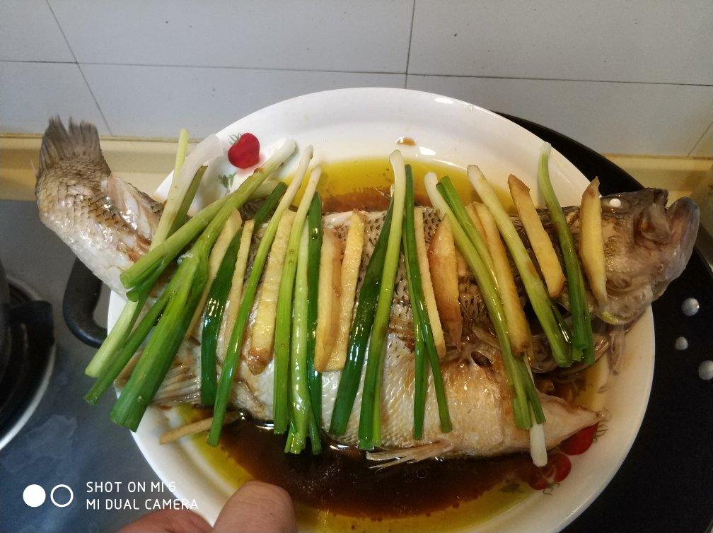 清蒸鲈鱼