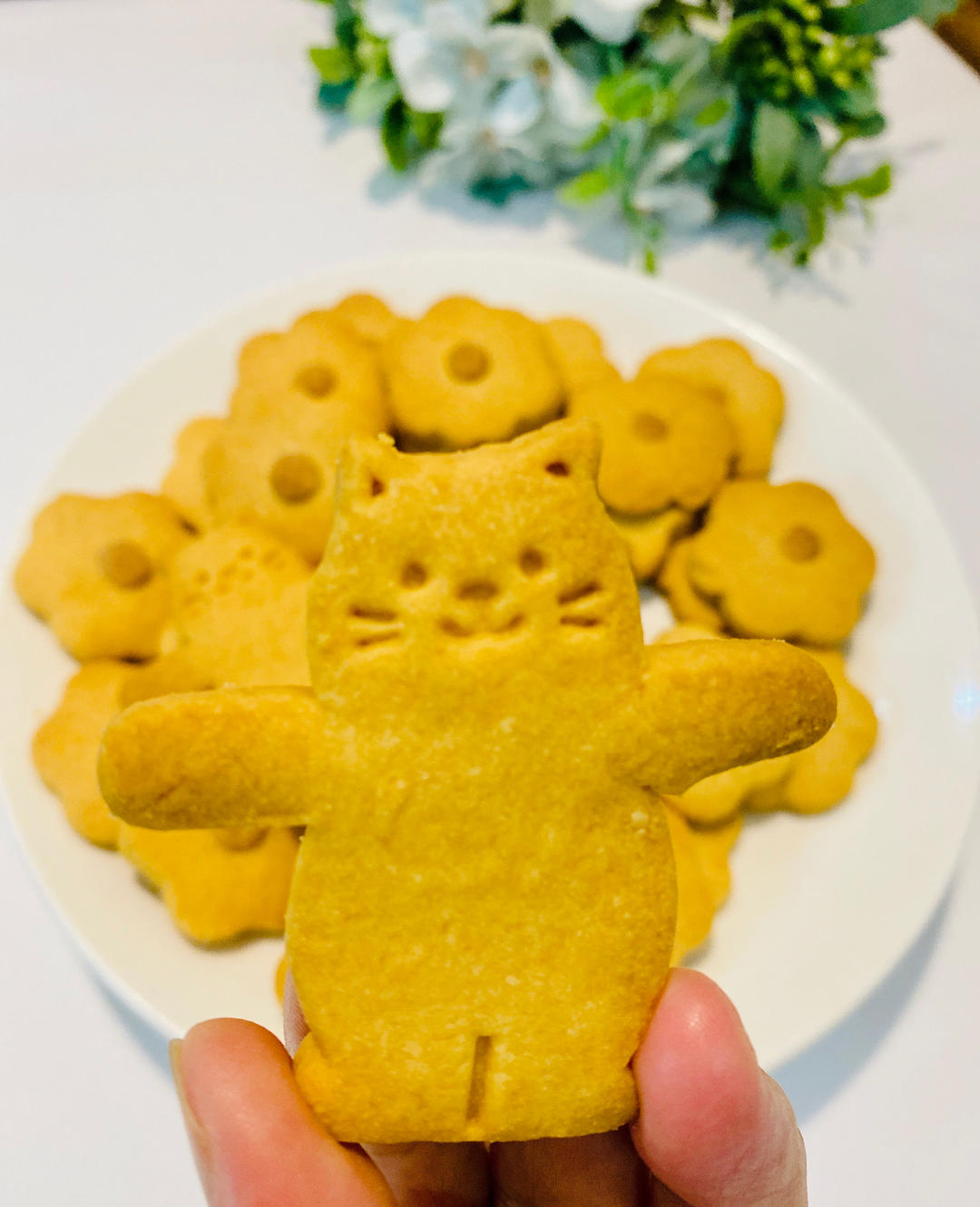 蓝莓饼干🍪                   （Blueberry cookies）