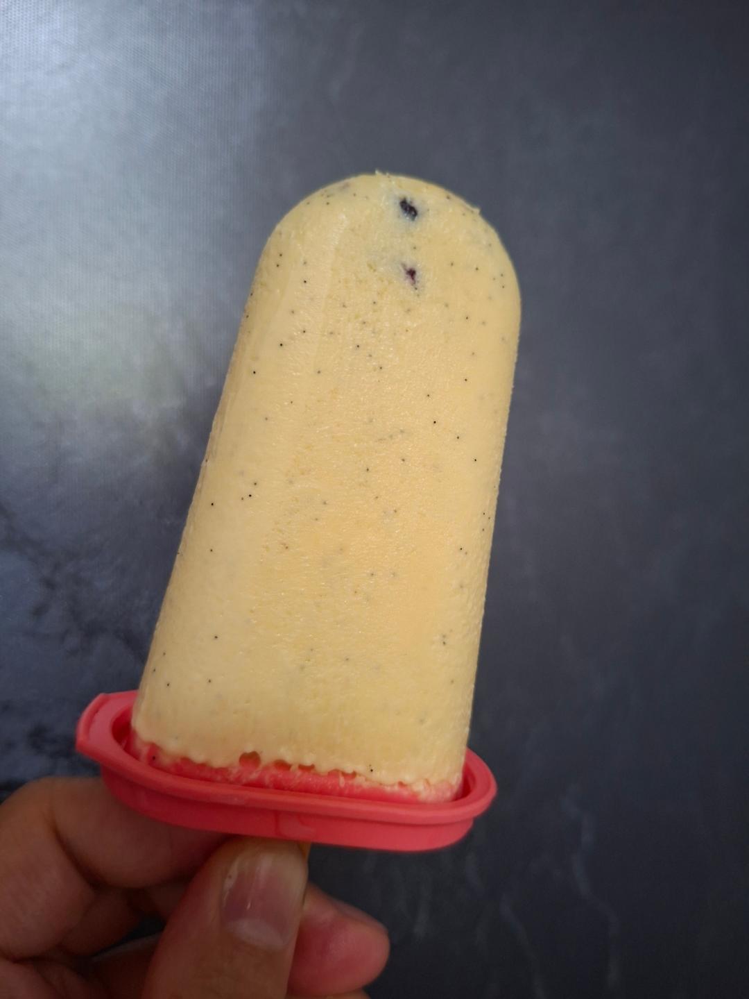 ㊙️哈根达斯同款味道香草冰淇淋