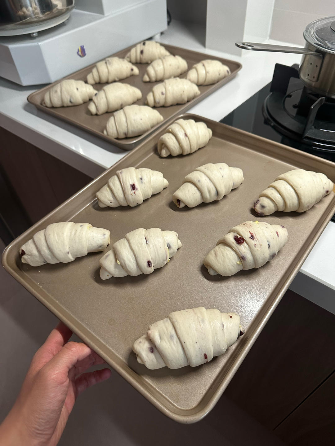 硬质海盐卷 60g一个/10个量