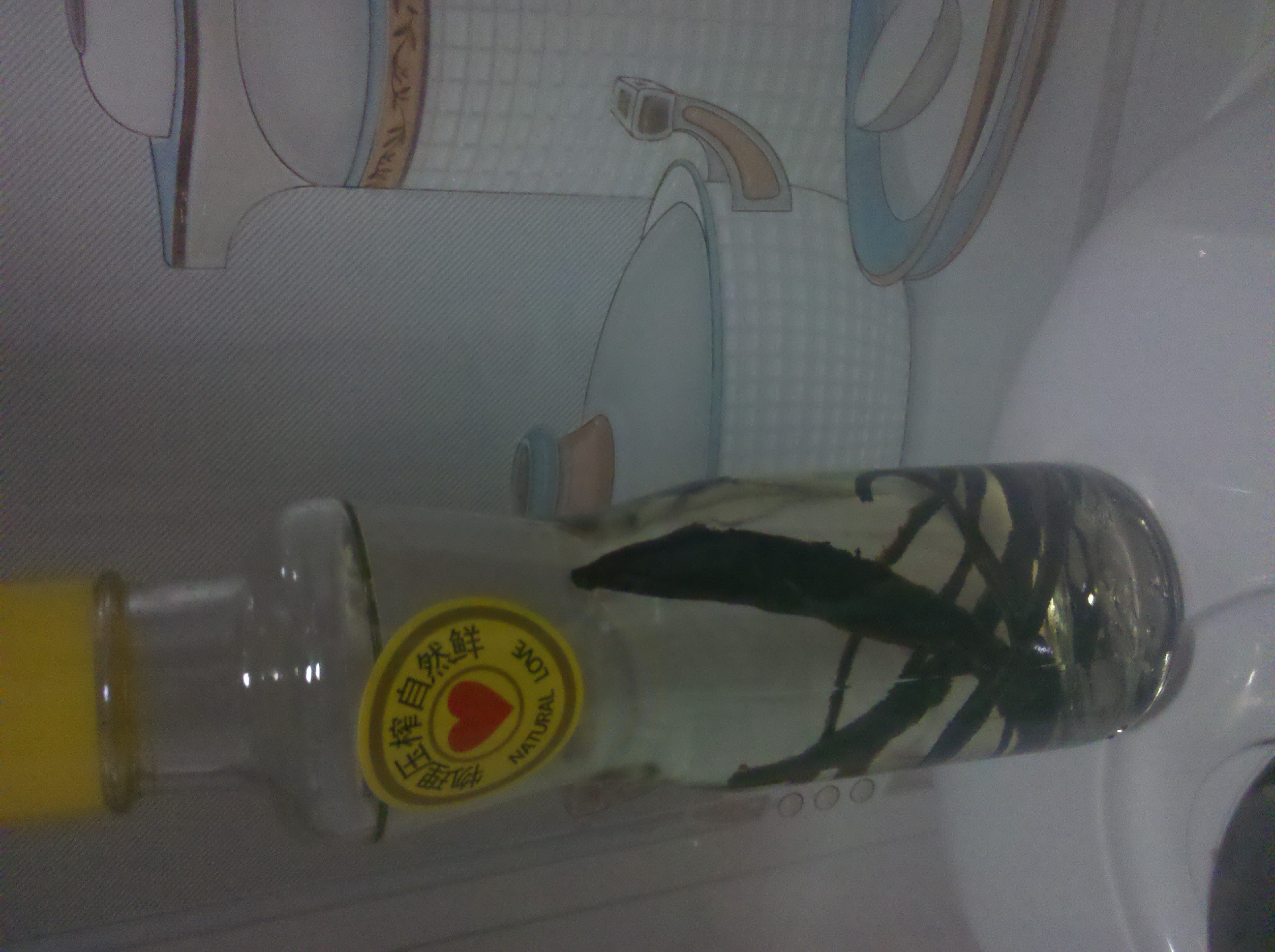 自制香草酒