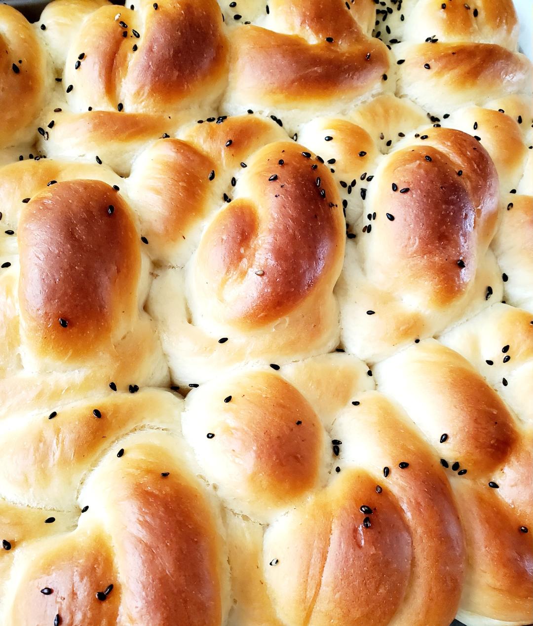 中筋面粉（出膜超快）的中种老面包