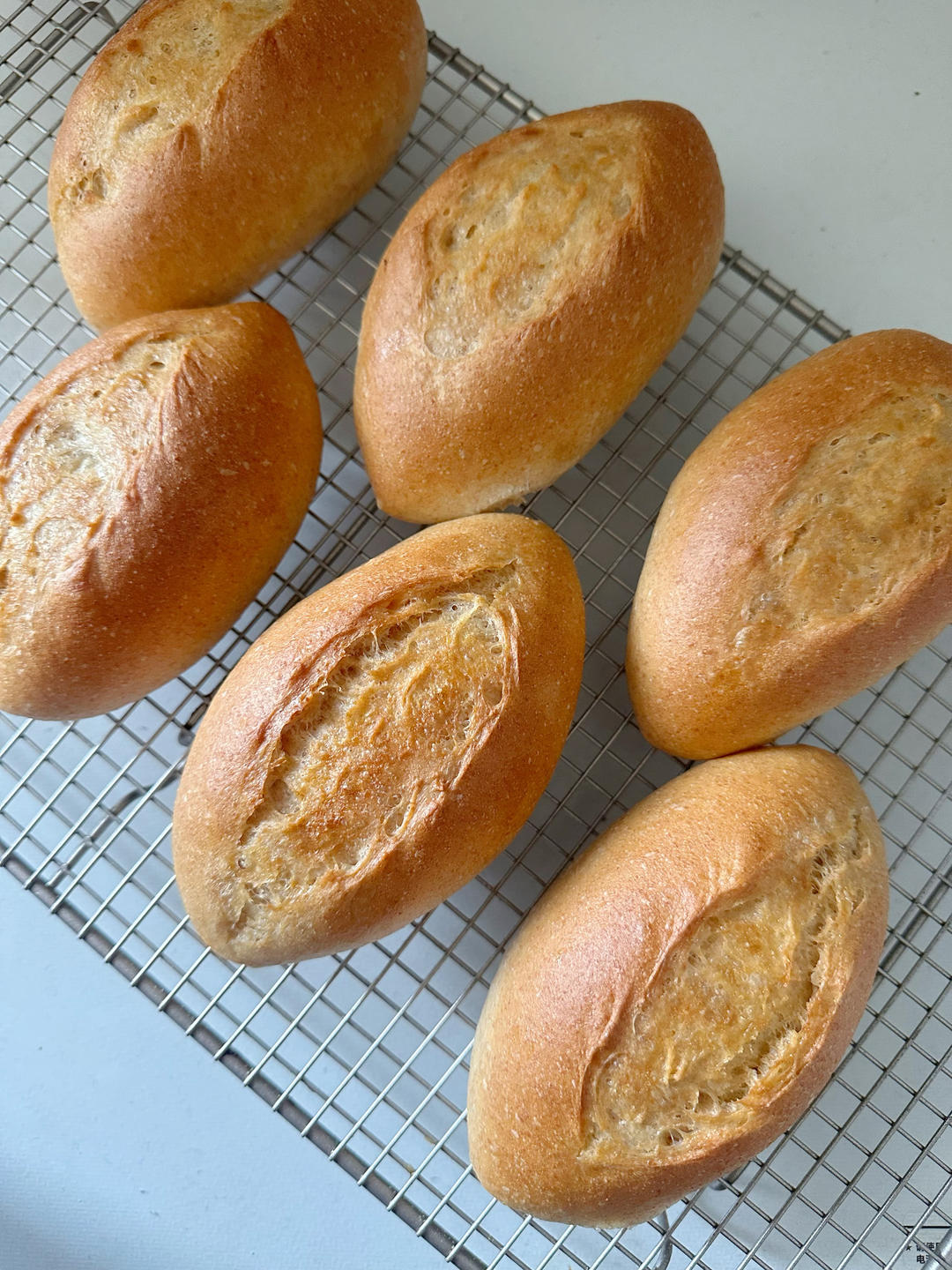 口感非常好的50%全麦主食餐包