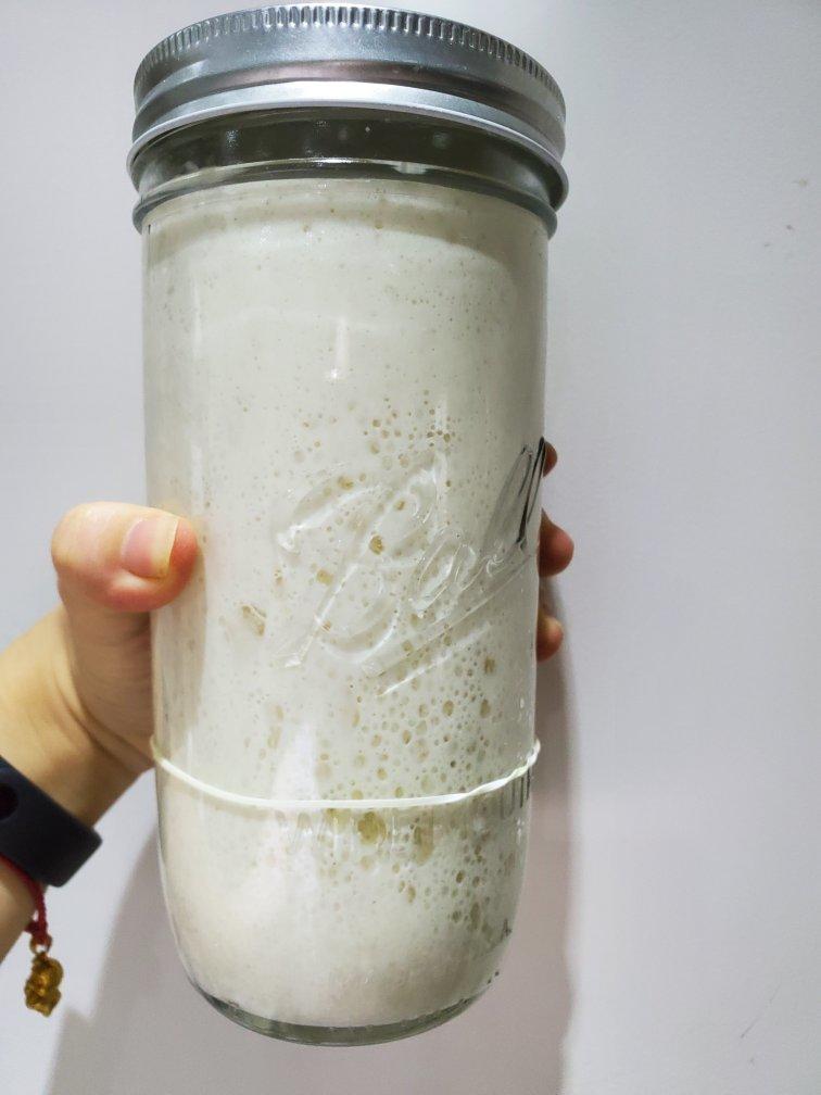 天然酵种培养记（小白记录用）（or鲁邦种）