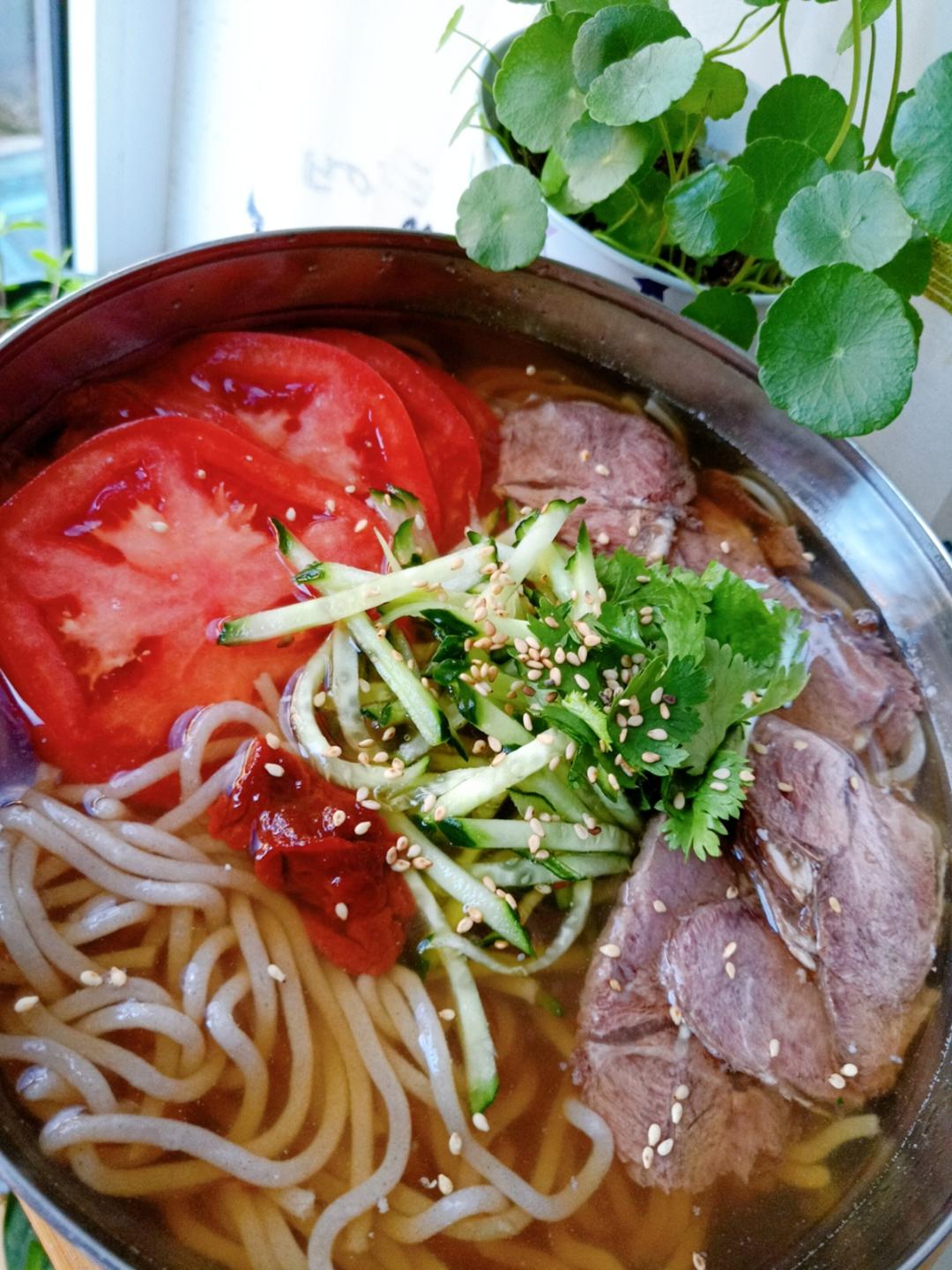 自制荞麦冷面条冷面汤（正在试验期自用）的做法