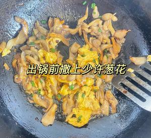 蘑菇炒鸡蛋	平菇这样炒，鲜美无比巨好吃的做法 步骤5