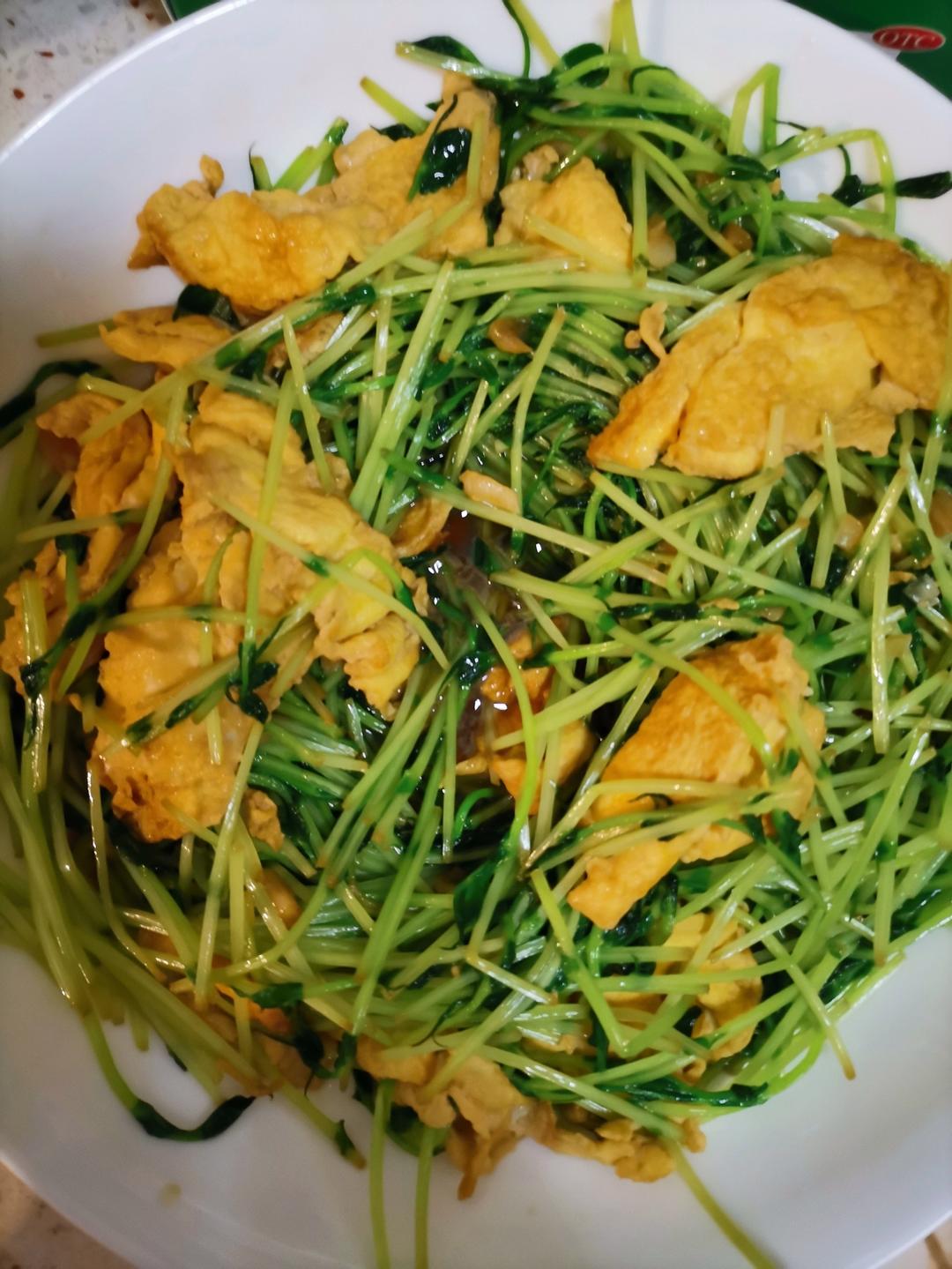 豌豆苗炒鸡蛋