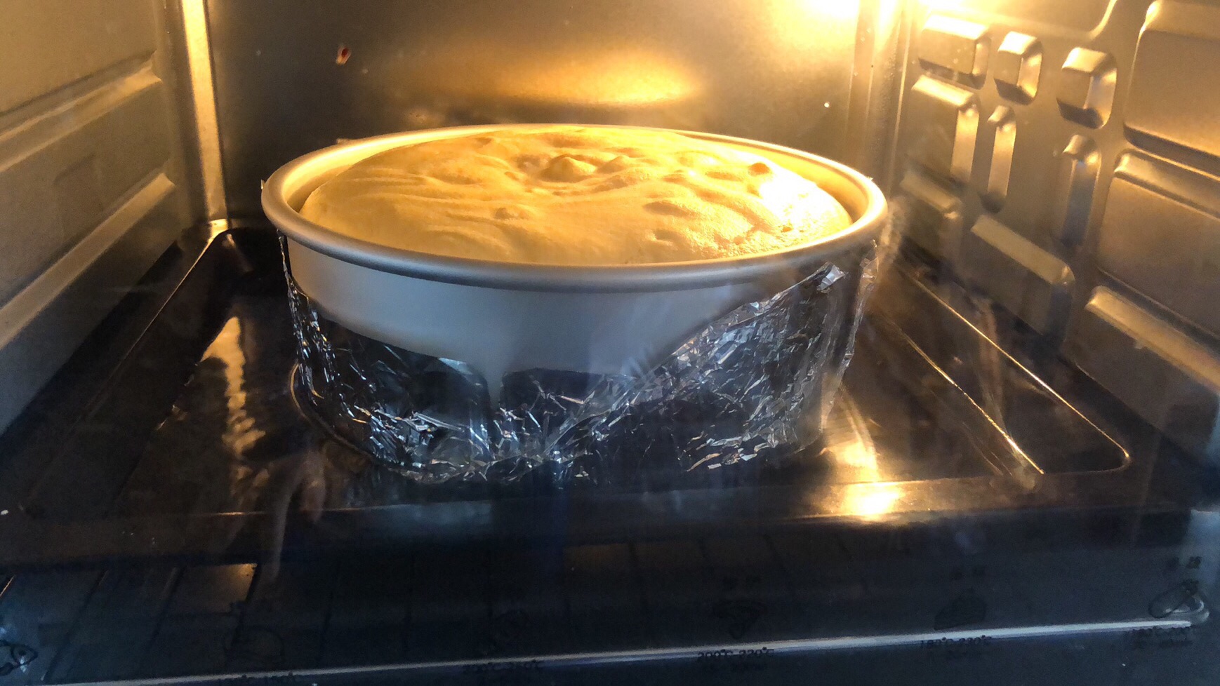 【烘焙小白版】松软的酸奶蛋糕的做法 步骤11
