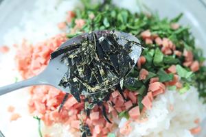 剩米饭这样做好吃好吃到转圈圈，自制日式海苔饭团的做法 步骤2