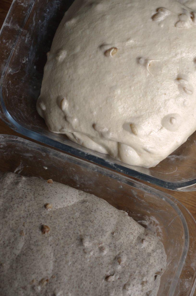 sourdough