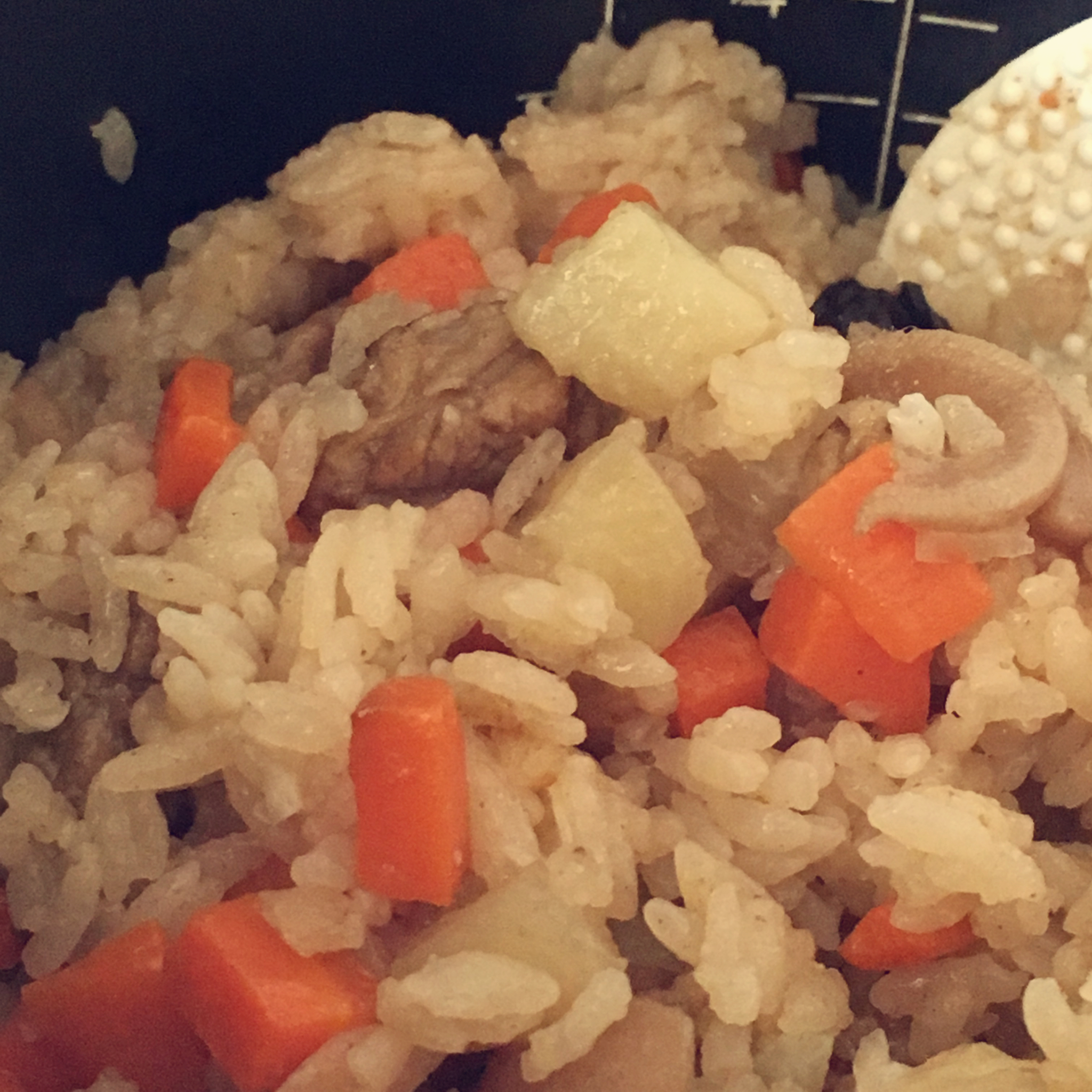 喷香羊肉焖饭