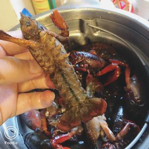 krups洗小龙虾的做法 步骤1