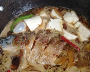家常鲤鱼炖豆腐宽粉的做法 步骤7