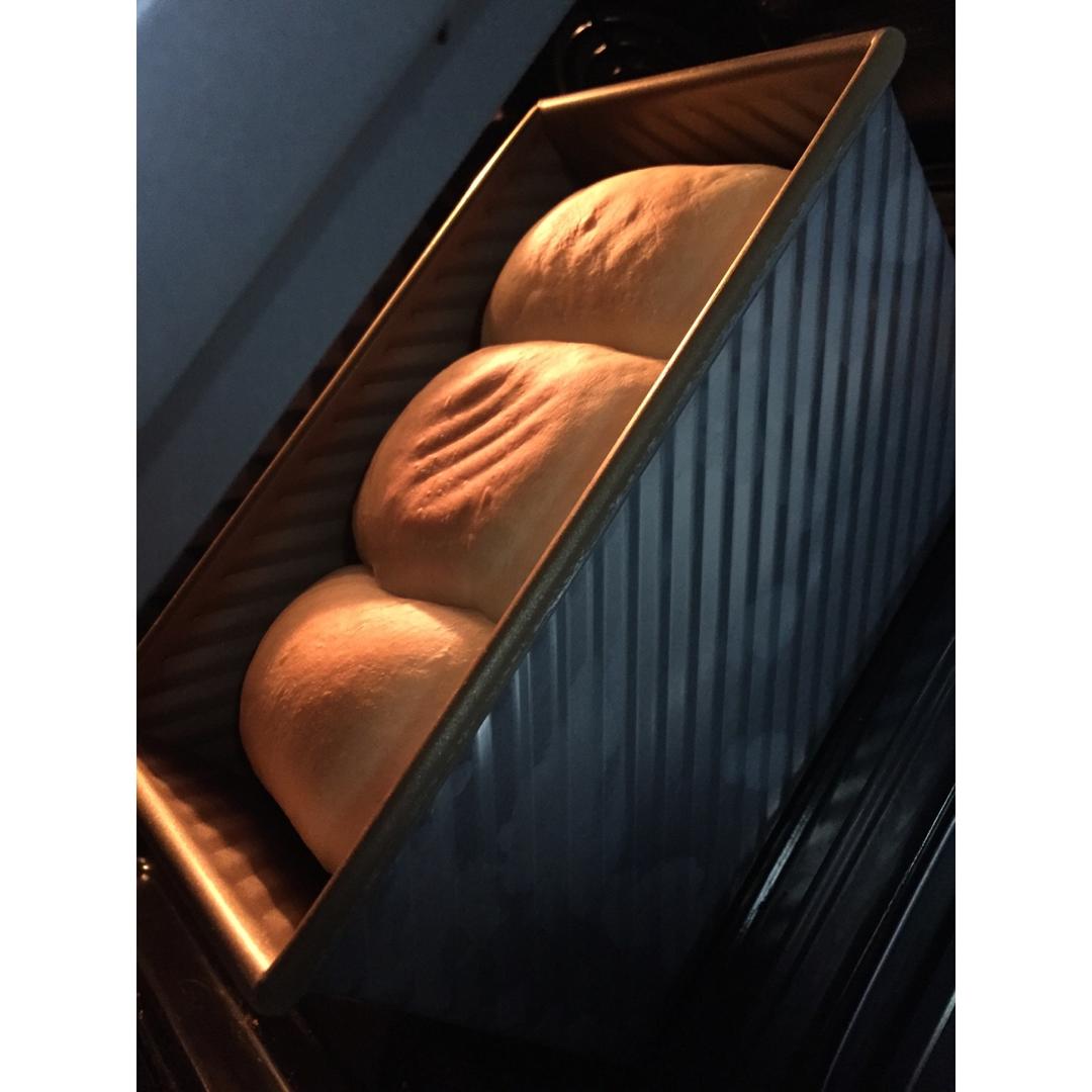 夺命软吐司(๑´ڡ`๑)超软拉丝极速方便的一次发酵吐司