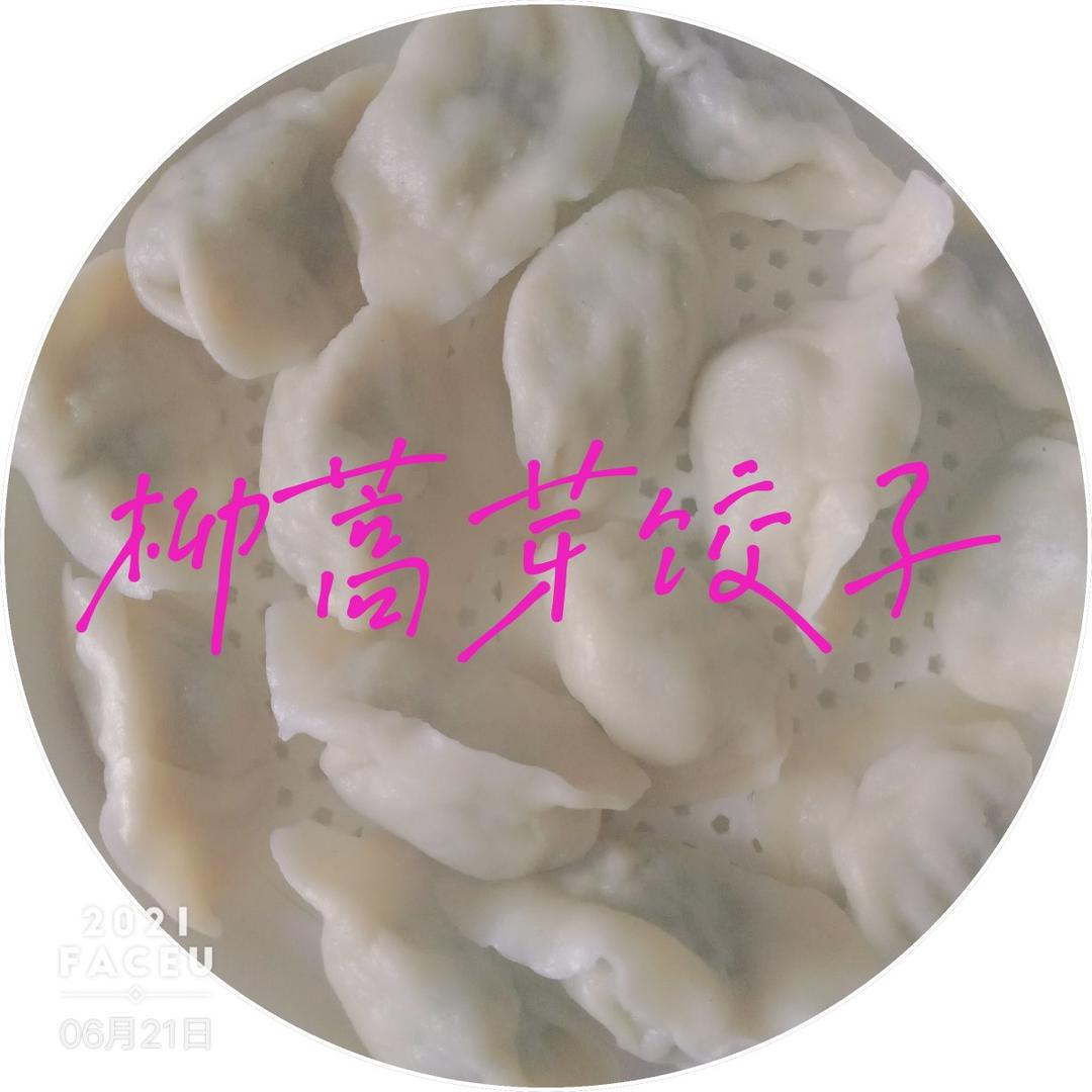 不烧心的韭菜肉饺子（有所有肉馅的秘方）