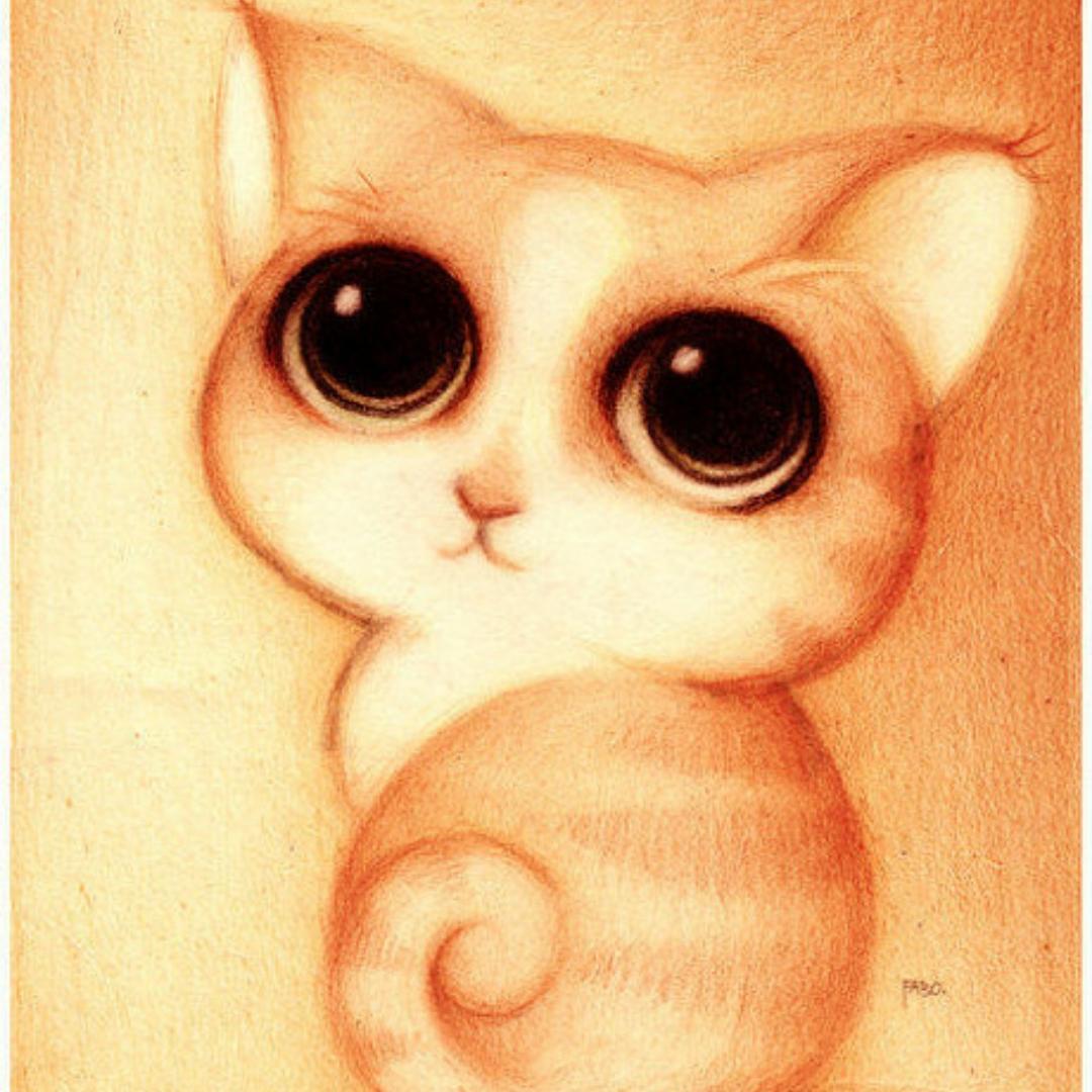 菲天小猫