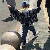 九天上的蒲公英