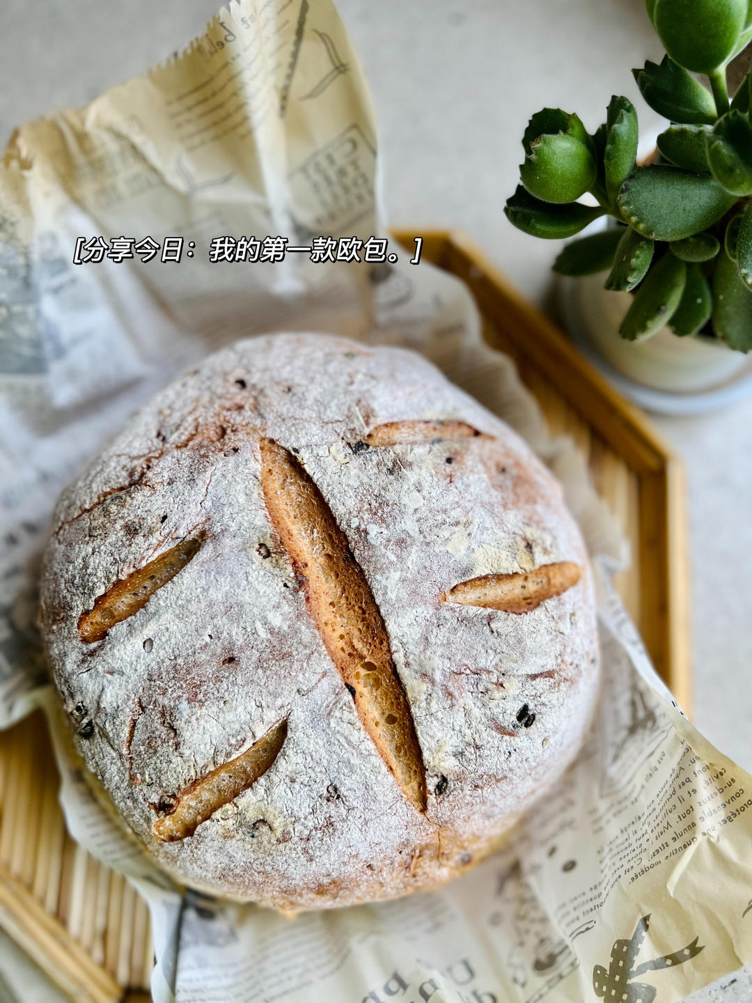 德国婆婆秘方·只多一料·香得上天的全麦核桃蔓越欧包