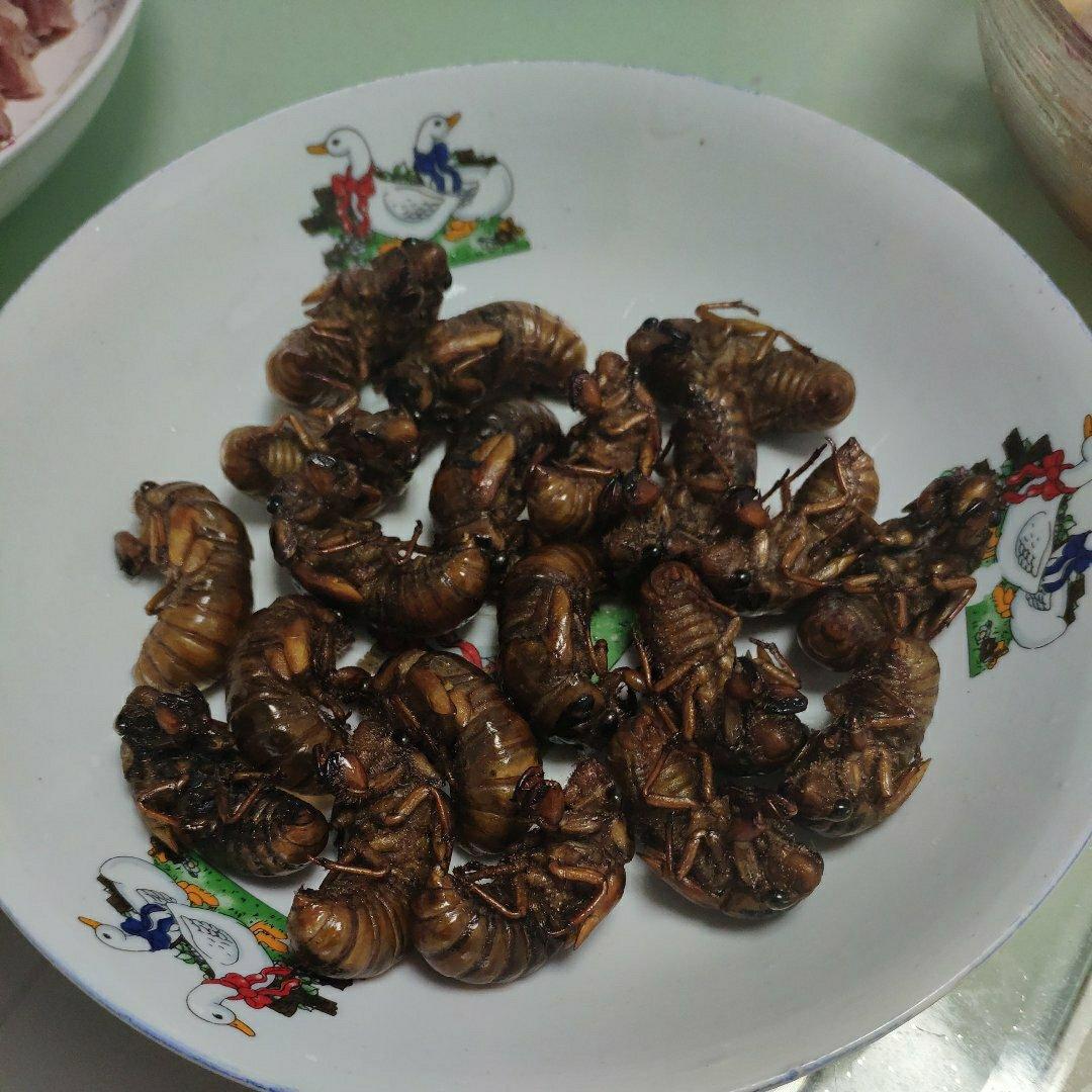 油炸知了猴