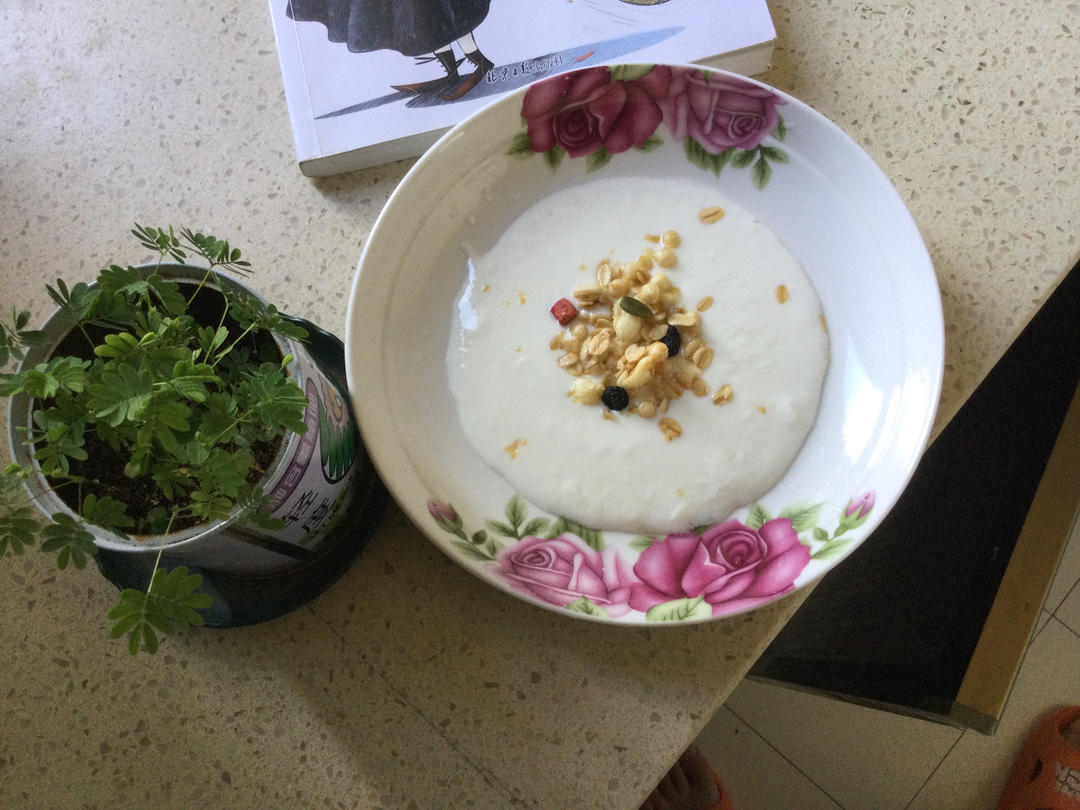 无菌粉自制酸奶·无糖