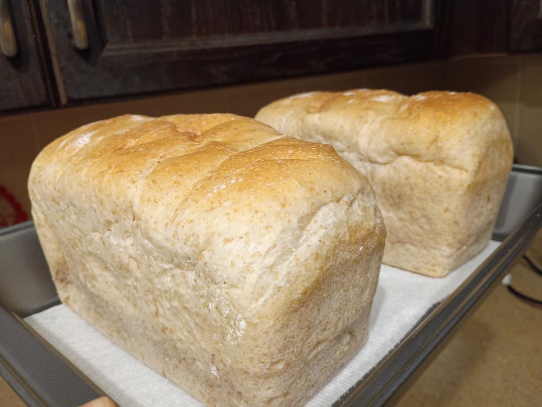 鲁邦种老面全麦吐司