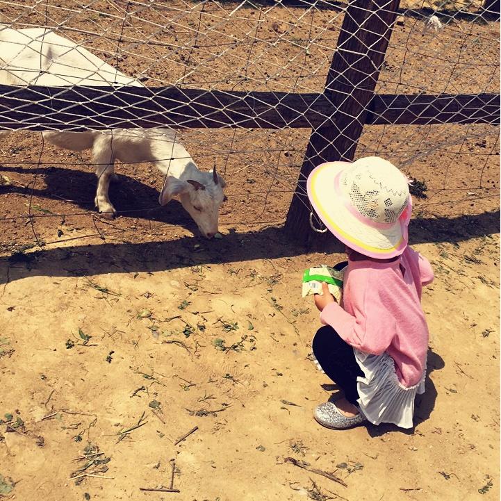 手机用户0032_scwm